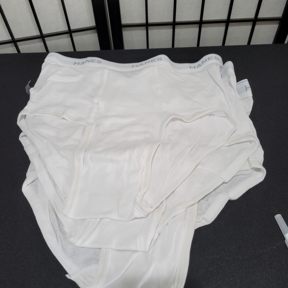 Men's Hanes Briefs Tagless